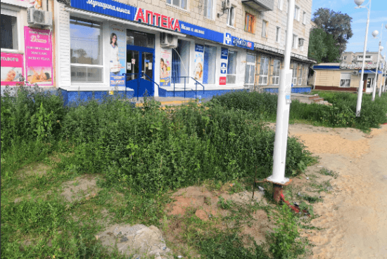 D:\2021 год\аиюнь\деревья у аптеки\Снимок2.PNG